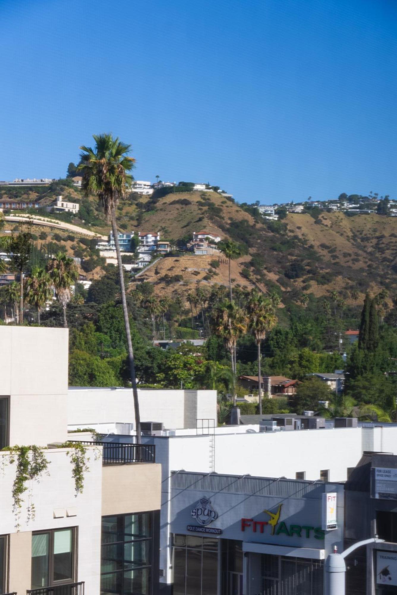 Bright Studio On Sunset Blvd, Free Parking, Gym, And Pool ลอสแอนเจลิส ภายนอก รูปภาพ